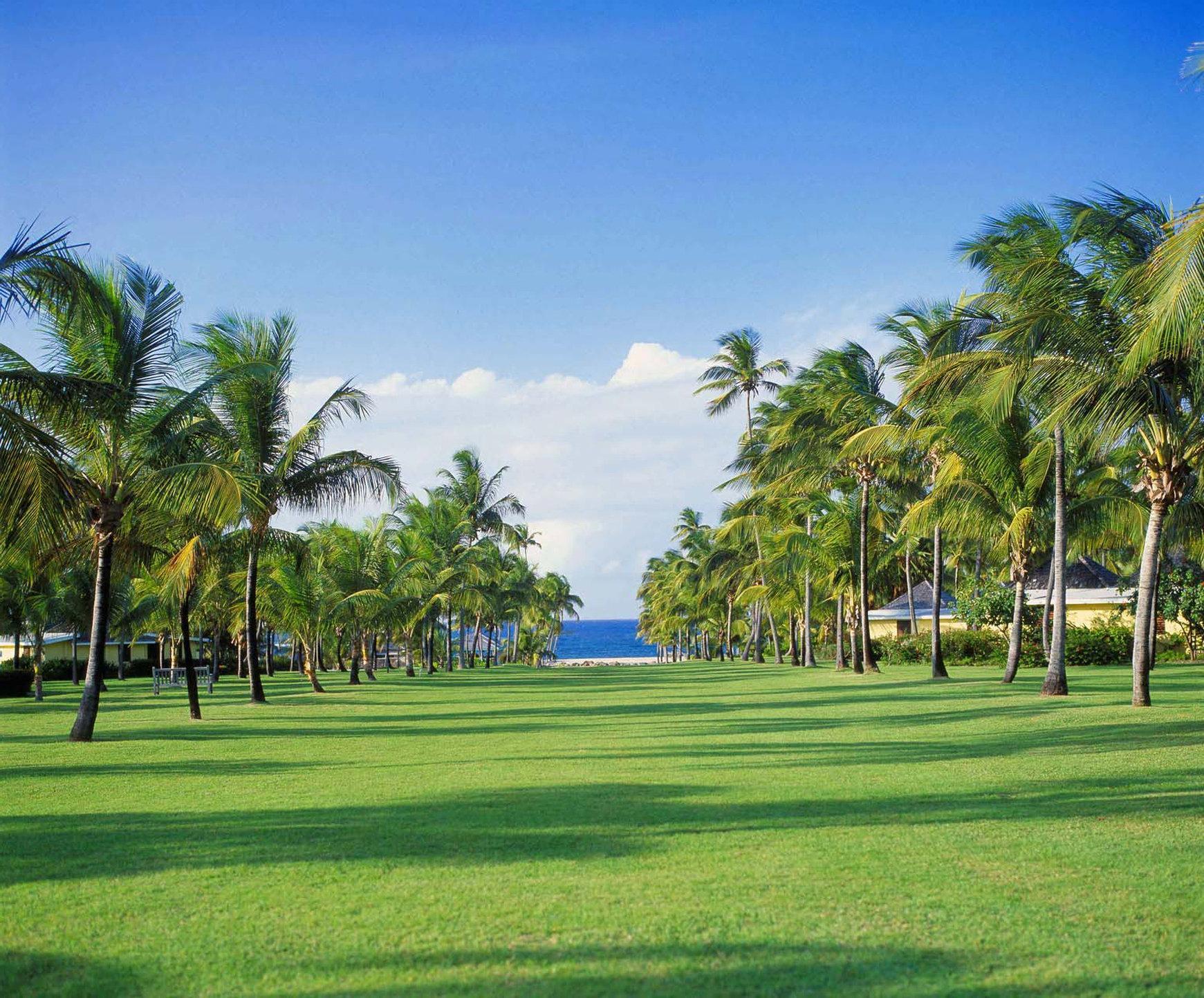 Nisbet Plantation Beach Club Newcastle Village Exterior photo