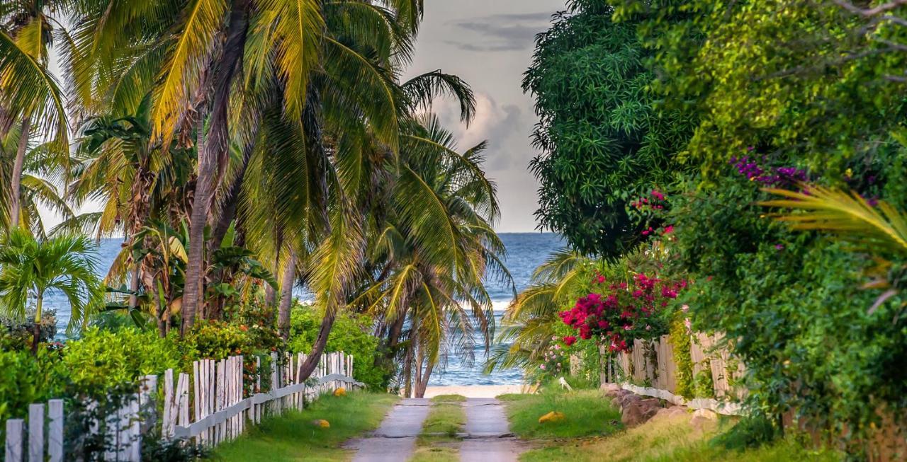 Nisbet Plantation Beach Club Newcastle Village Exterior photo